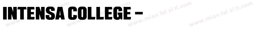 INTENSA COLLEGE 字体字体转换